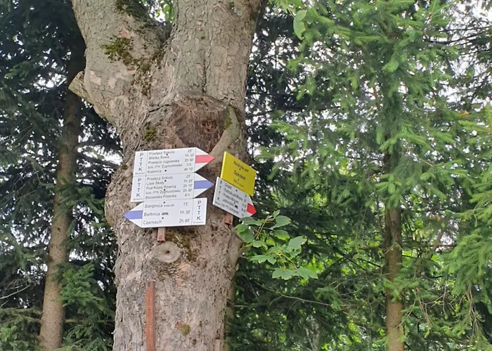 Chalet Sierplejs Hill - Przy Szlaku W Gorach Sowich *