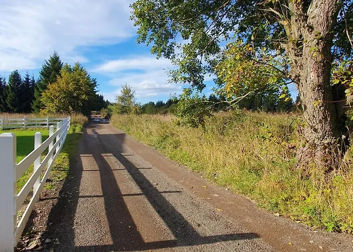 Sierplejs Hill - Przy Szlaku W Gorach Sowich